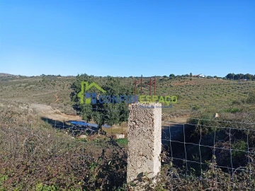 Terreno para Venda em Castelo Branco