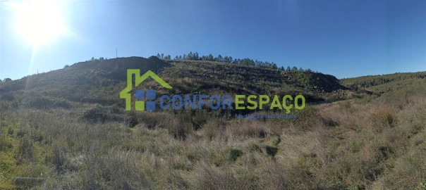 Terreno para Venda em Castelo Branco