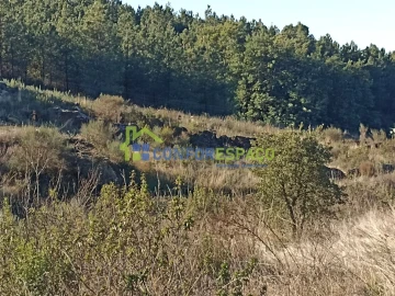 Terreno para Venda em Castelo Branco