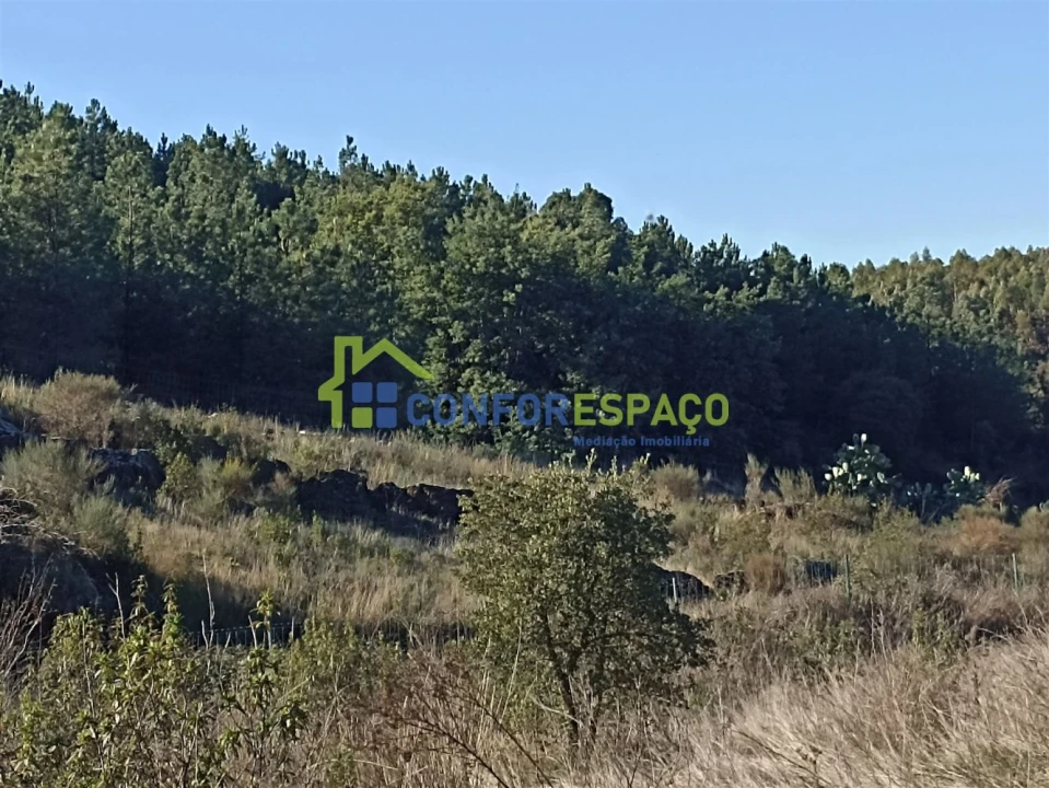 Terreno para Venda em Castelo Branco Foto 6