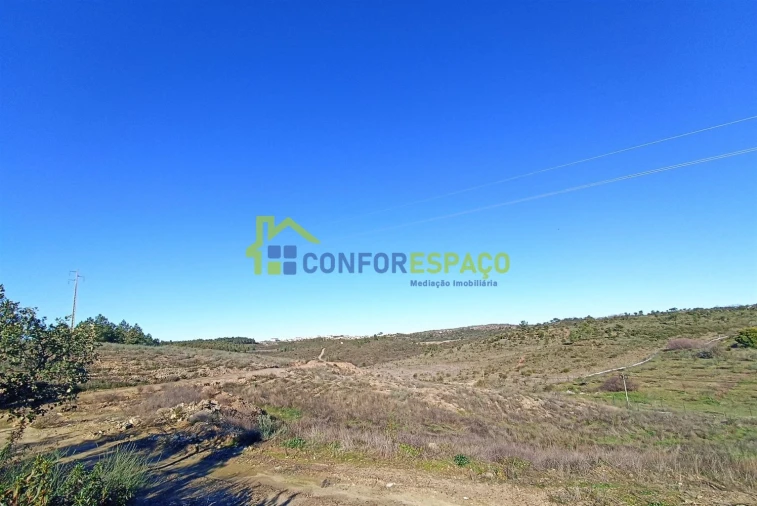 Terreno para Venda em Castelo Branco Foto 21
