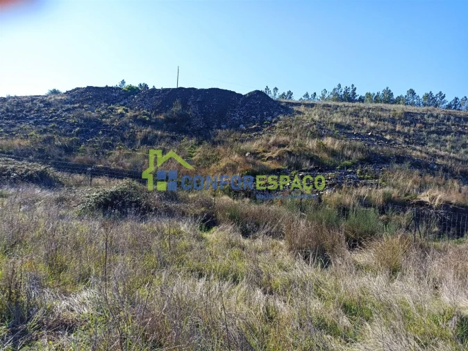 Terreno para Venda em Castelo Branco Foto 11
