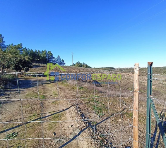 Terreno para Venda em Castelo Branco Foto 18