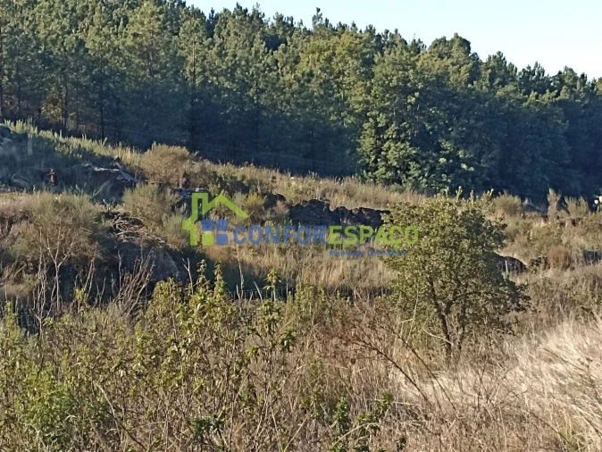 Terreno para Venda em Castelo Branco Foto 5