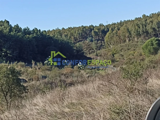 Terreno para Venda em Castelo Branco Foto 8