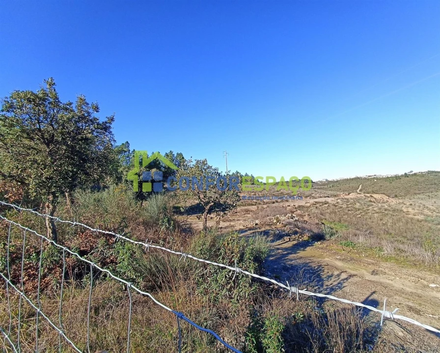 Terreno para Venda em Castelo Branco Foto 19