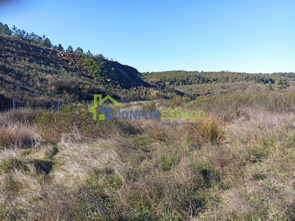 Terreno para Venda em Castelo Branco Foto 10