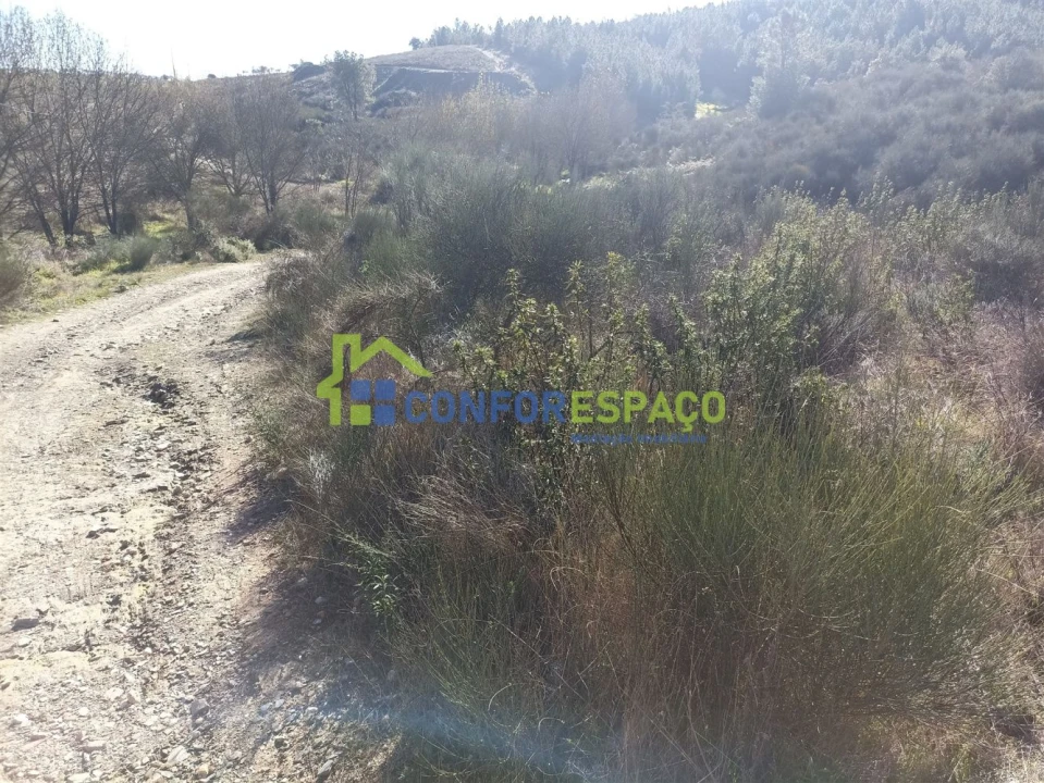 Terreno para Venda em Castelo Branco Foto 2