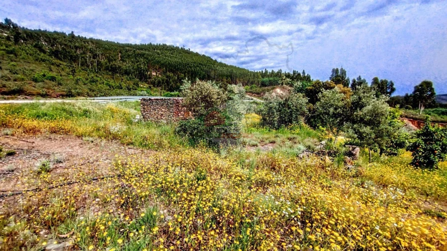 Moradia T3 para Venda em Vila de Rei Foto 31