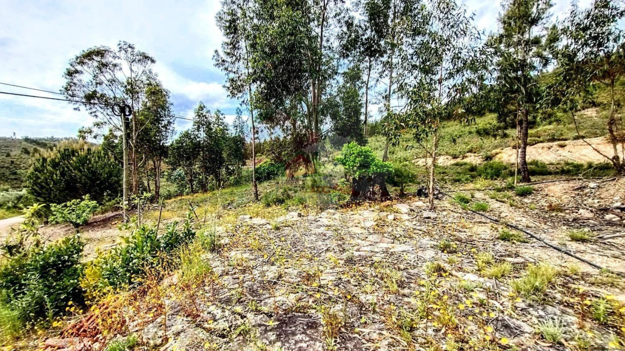 Moradia T3 para Venda em Vila de Rei Foto 34