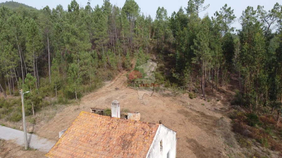 Moradia T3 para Venda em Cernache do Bonjardim, Nesperal e Palhais Foto 49