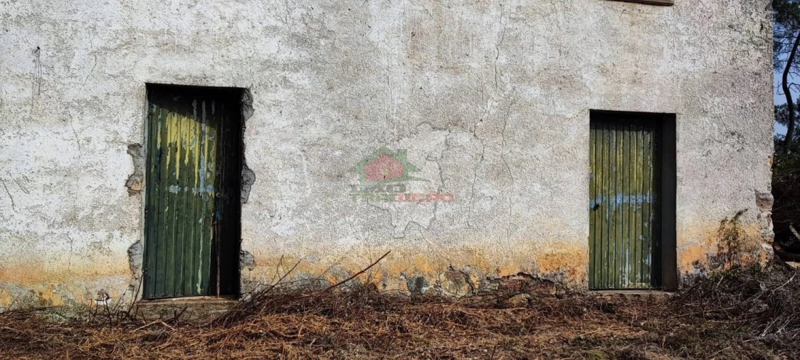 Moradia T3 para Venda em Cernache do Bonjardim, Nesperal e Palhais Foto 6