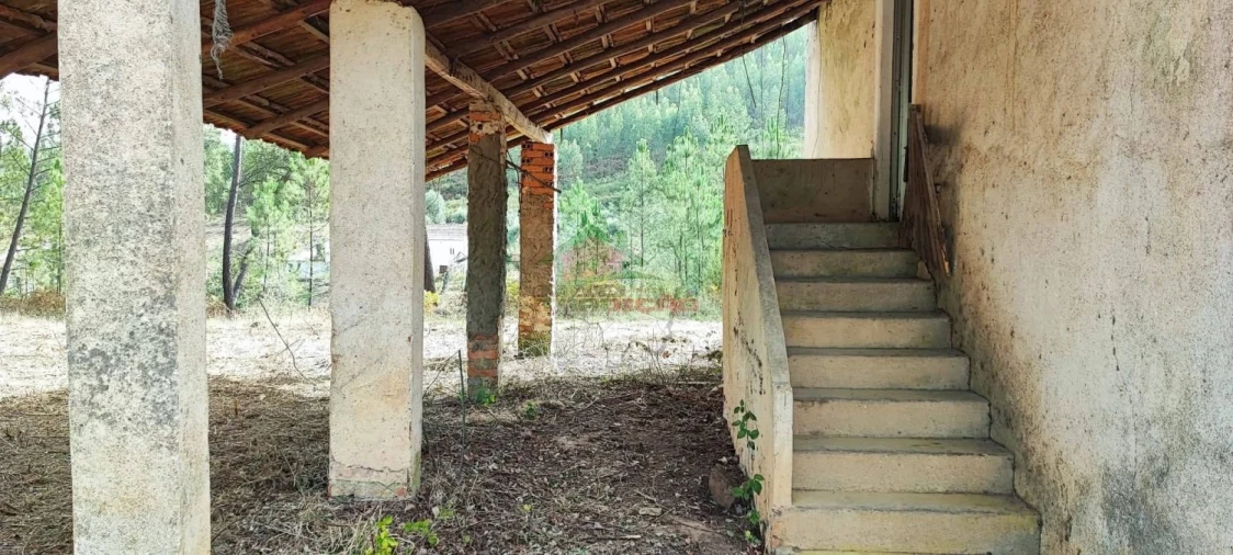 Moradia T3 para Venda em Cernache do Bonjardim, Nesperal e Palhais Foto 31