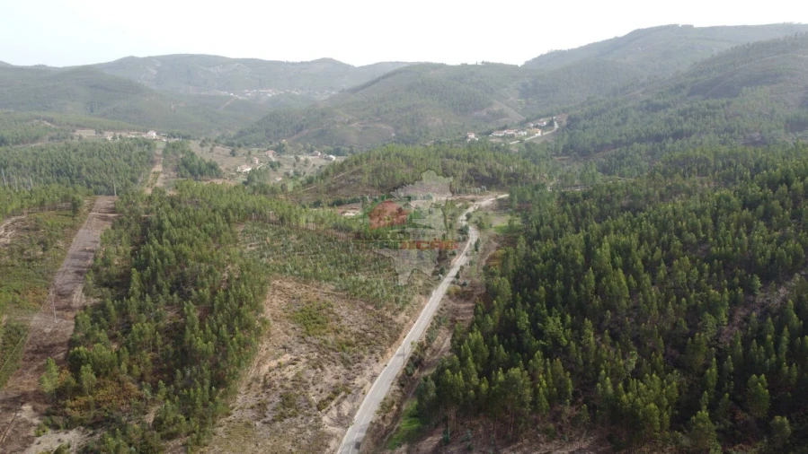 Moradia T3 para Venda em Cernache do Bonjardim, Nesperal e Palhais Foto 55