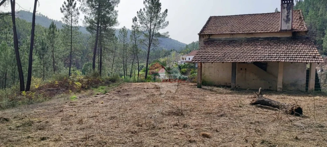 Moradia T3 para Venda em Cernache do Bonjardim, Nesperal e Palhais Foto 40