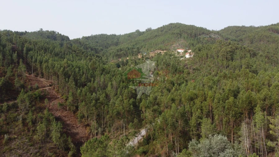 Moradia T3 para Venda em Cernache do Bonjardim, Nesperal e Palhais Foto 56