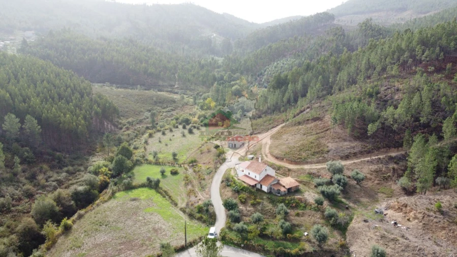 Moradia T3 para Venda em Cernache do Bonjardim, Nesperal e Palhais Foto 53