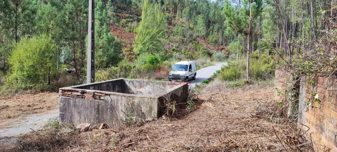 Moradia T3 para Venda em Cernache do Bonjardim, Nesperal e Palhais Foto 33