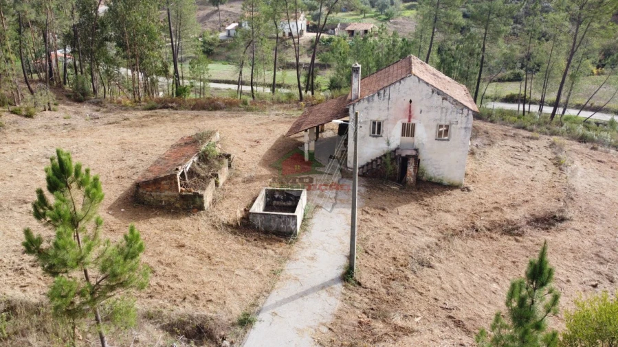 Moradia T3 para Venda em Cernache do Bonjardim, Nesperal e Palhais Foto 44