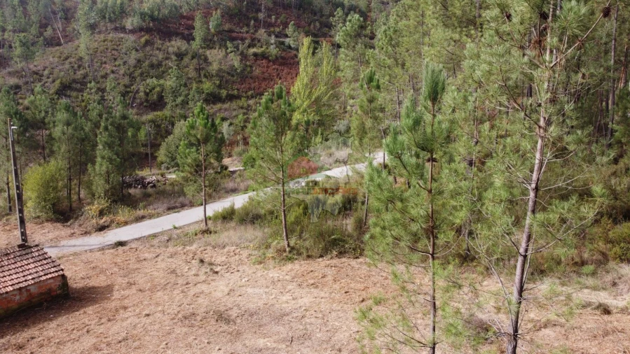 Moradia T3 para Venda em Cernache do Bonjardim, Nesperal e Palhais Foto 34