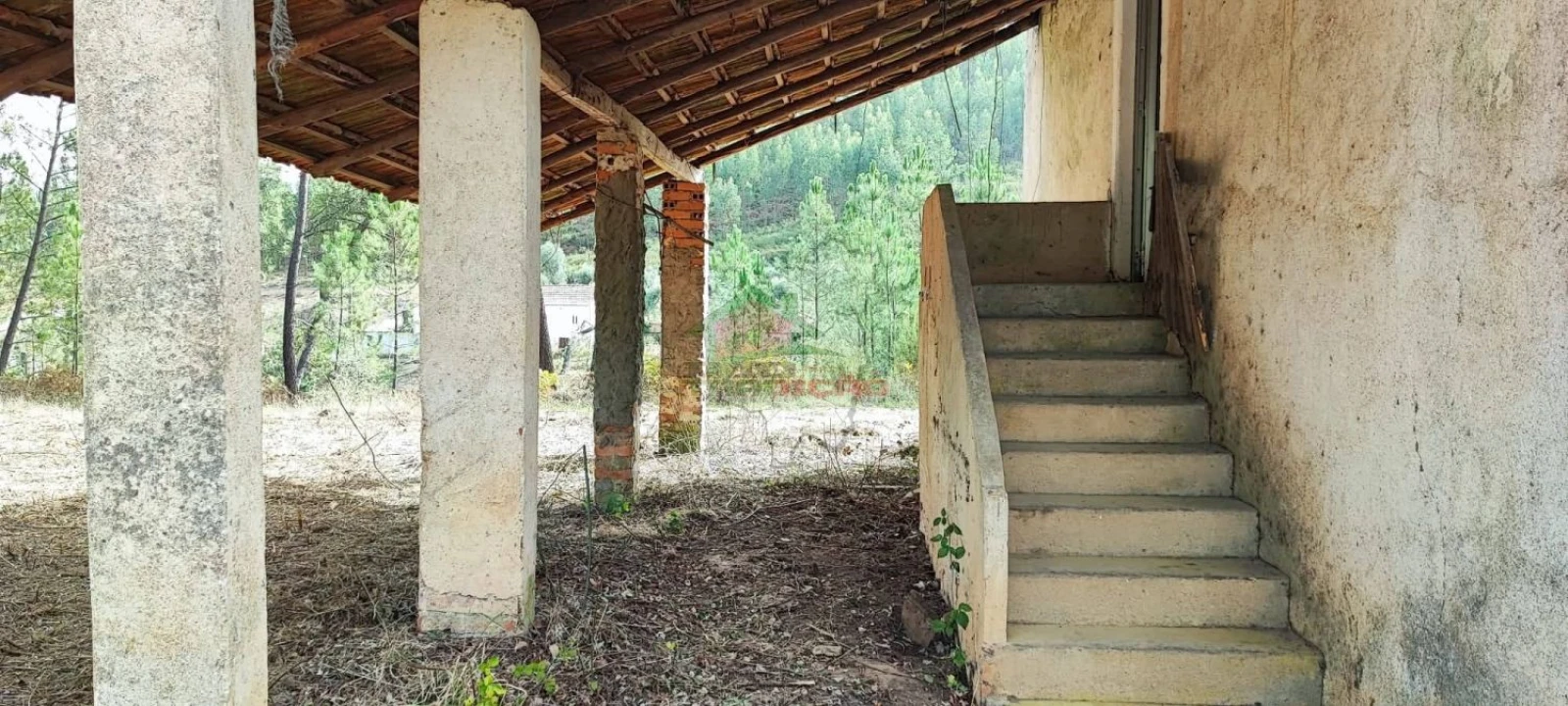 Moradia T3 para Venda em Cernache do Bonjardim, Nesperal e Palhais Foto 31