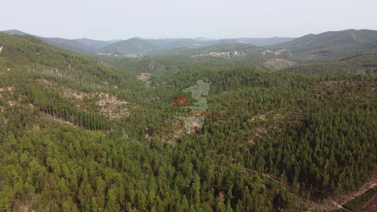 Moradia T3 para Venda em Cernache do Bonjardim, Nesperal e Palhais Foto 57