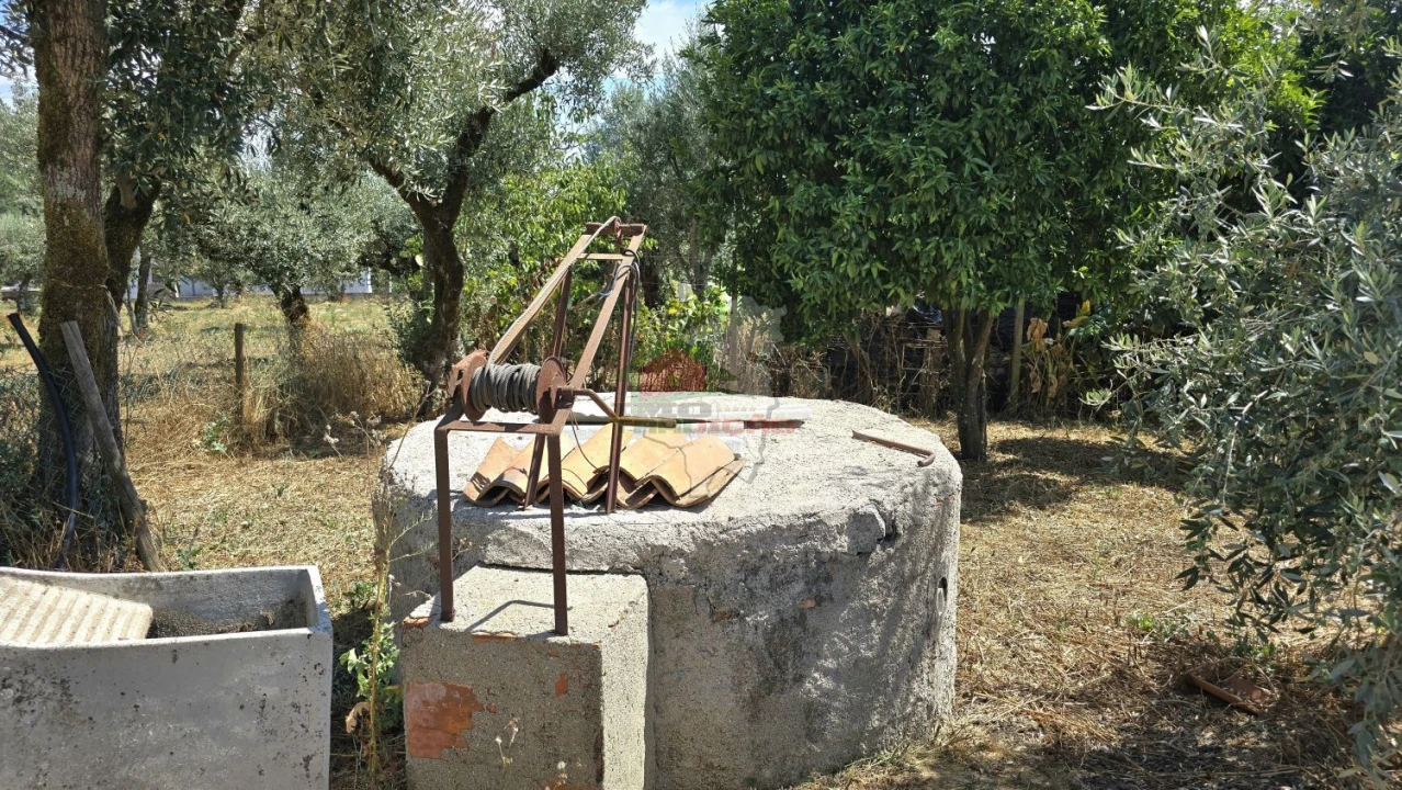Moradia T3 para Venda em Cernache do Bonjardim, Nesperal e Palhais Foto 37