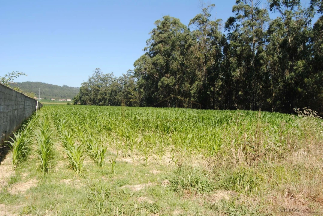 Terreno para Venda em Rates Foto 1
