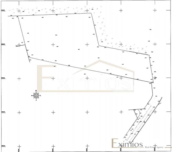 Terreno para Venda em Rates Foto 3