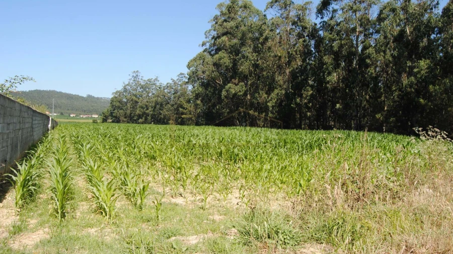 Terreno para Venda em Rates