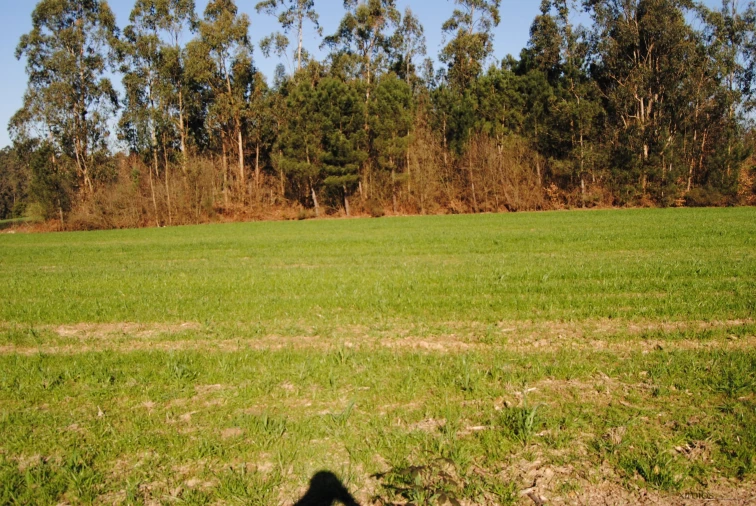 Terreno para Venda em Macieira da Maia Foto 2