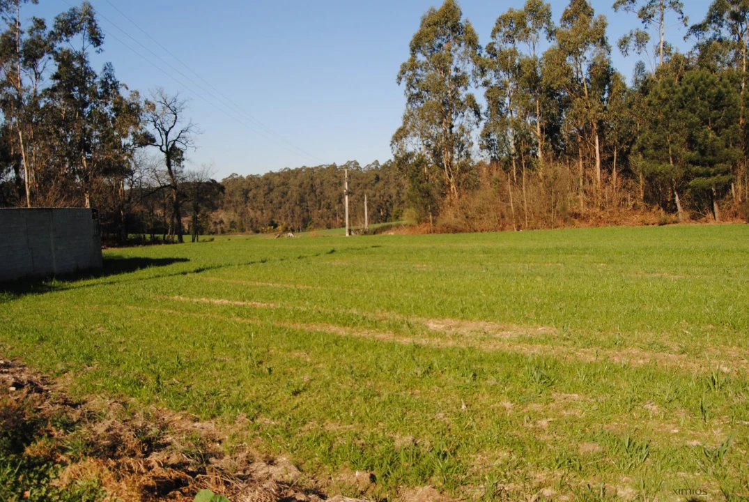 Terreno para Venda em Macieira da Maia Foto 1