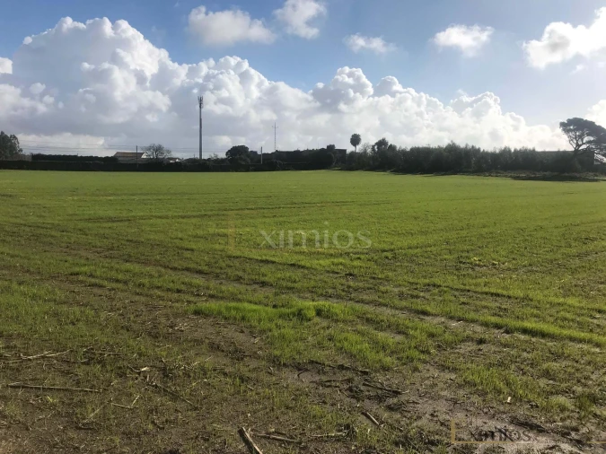 Terreno para Venda em Póvoa de Varzim, Beiriz e Argivai Foto 2