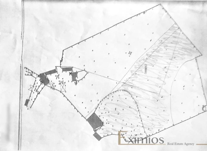 Terreno para Venda em Póvoa de Varzim, Beiriz e Argivai Foto 12