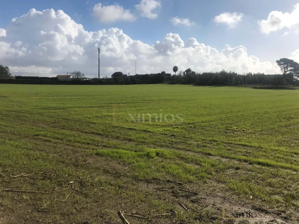 Terreno para Venda em Póvoa de Varzim, Beiriz e Argivai Foto 2