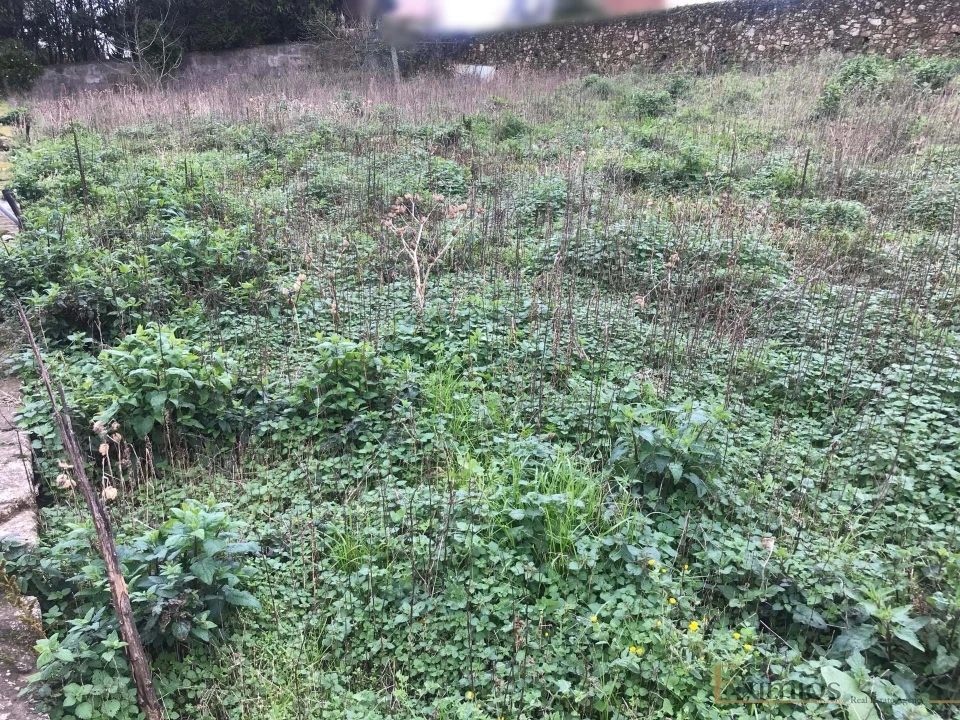 Terreno para Venda em Póvoa de Varzim, Beiriz e Argivai Foto 3