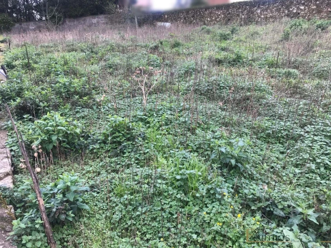 Terreno para Venda em Póvoa de Varzim, Beiriz e Argivai Foto 3