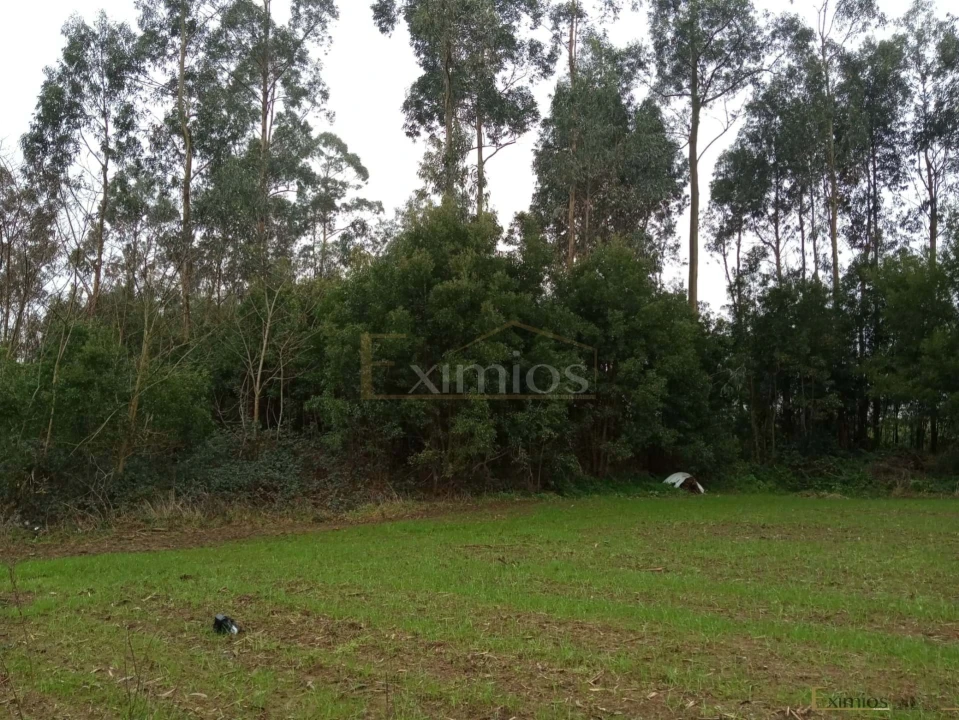 Terreno para Venda em Aveleda Foto 2