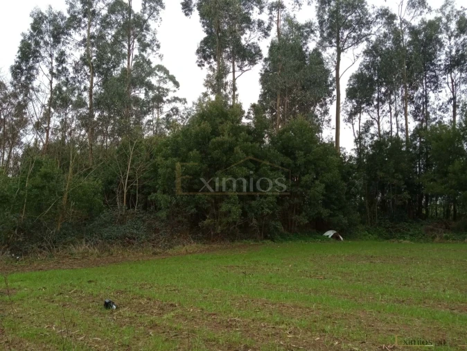 Terreno para Venda em Aveleda Foto 2