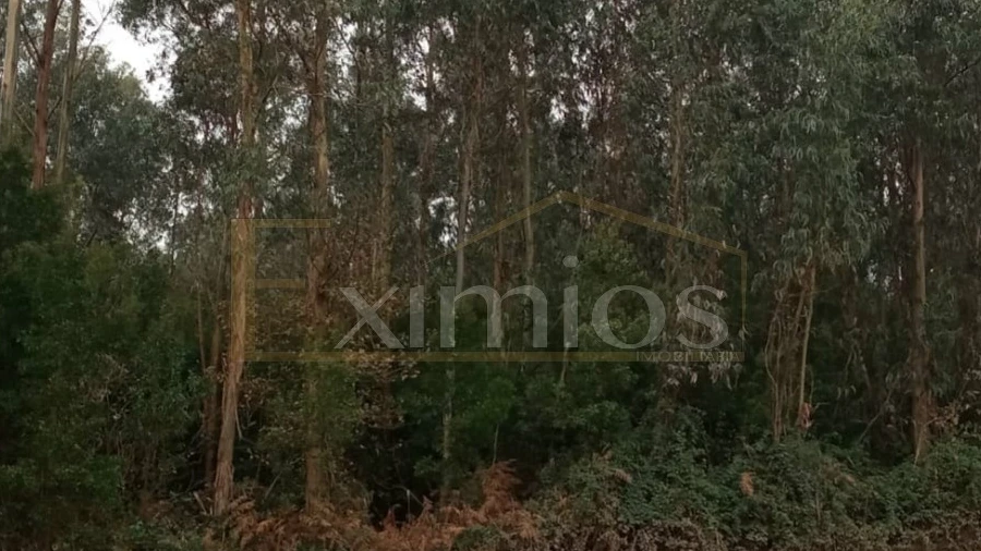 Terreno para Venda em Aveleda