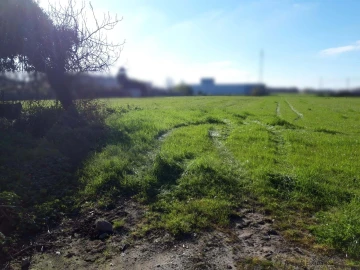 Terreno para Venda em Póvoa de Varzim, Beiriz e Argivai