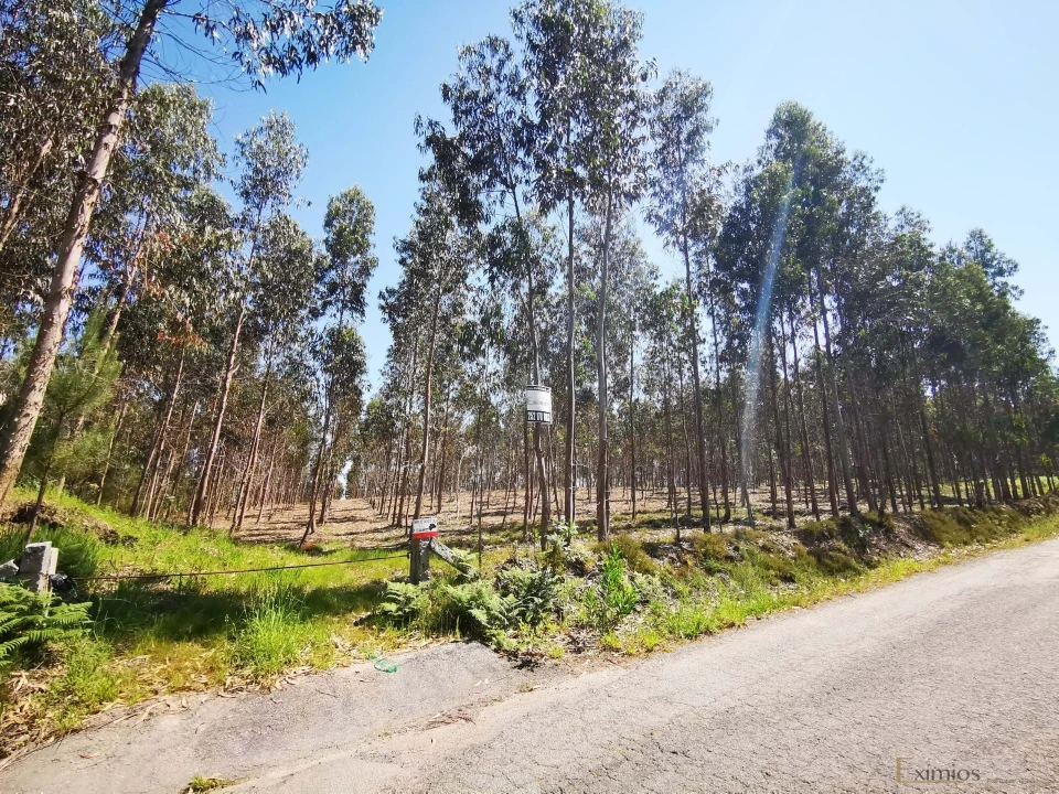 Terreno para Venda em Rates Foto 4