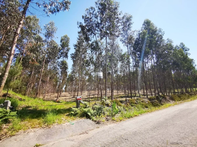 Terreno para Venda em Rates Foto 4