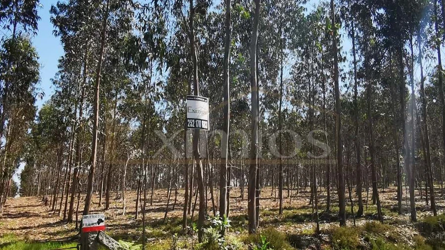 Terreno para Venda em Rates