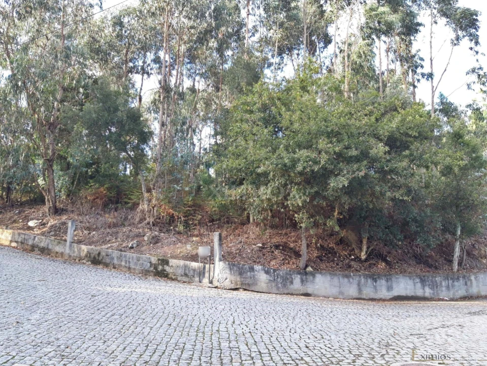 Terreno para Venda em Touguinha e Touguinhó Foto 1