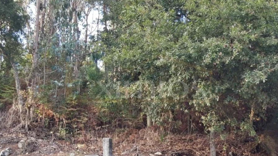 Terreno para Venda em Touguinha e Touguinhó