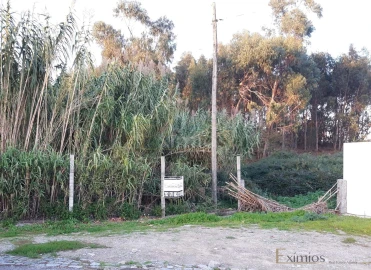 Terreno para Venda em Póvoa de Varzim, Beiriz e Argivai