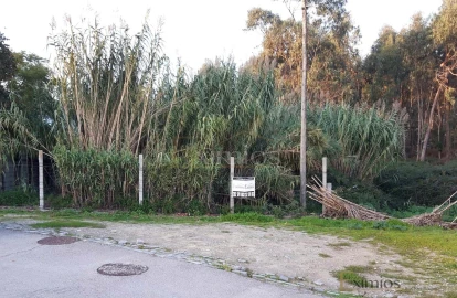 Terreno para Venda em Póvoa de Varzim, Beiriz e Argivai