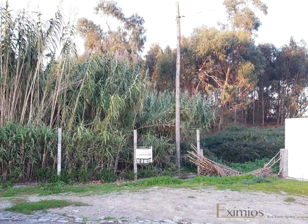 Terreno para Venda em Póvoa de Varzim, Beiriz e Argivai Foto 6