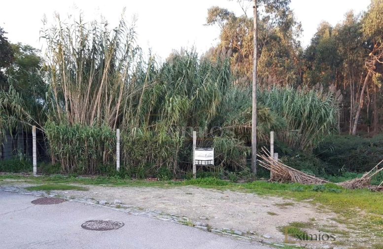 Terreno para Venda em Póvoa de Varzim, Beiriz e Argivai Foto 2